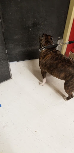 Pet Supply Store «Petco Animal Supplies», reviews and photos, 200 Center Blvd S, Christiana, DE 19702, USA