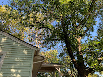 Mosley Lawn & Tree Service - Photo 9 - Car repair in , Tulsa