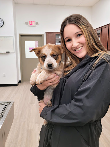 Pet Supply Store «Pet Club Cave Creek», reviews and photos, 4725 E Carefree Hwy, Cave Creek, AZ 85331, USA