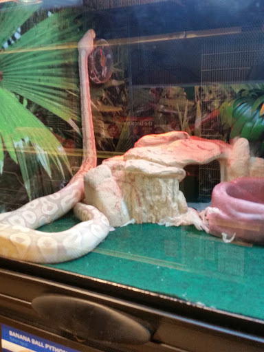 Pet Supply Store «PetSmart», reviews and photos, 90 Weis Ln, West Hazleton, PA 18202, USA