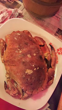Metacarcinus magister du Restaurant de crabe Le Crabe Marteau à Brest - n°4