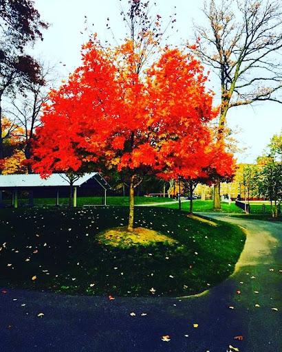 Movie Theater «Regal Cinemas New Roc 18 IMAX & RPX», reviews and photos, 33 Lecount Pl, New Rochelle, NY 10801, USA