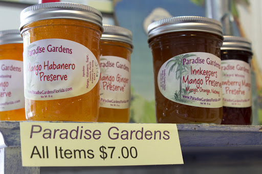 Ice Cream Shop «Great Licks Ice Cream Shop», reviews and photos, 4643 Pine Island Rd, Matlacha, FL 33993, USA