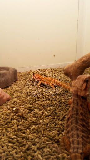 Pet Store «Miles of Exotics», reviews and photos, 8350 N Broadway, Kansas City, MO 64118, USA