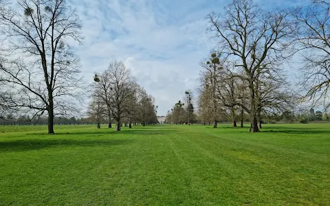Hampton Court Park (Home Park) image