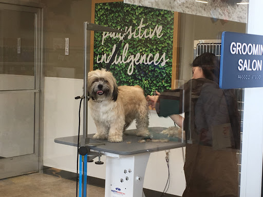 Pet Supply Store «Petco Animal Supplies», reviews and photos, 24413 Crenshaw Blvd #8, Torrance, CA 90505, USA