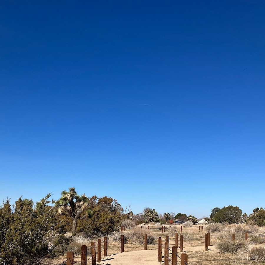 Prime Desert Woodland Preserve