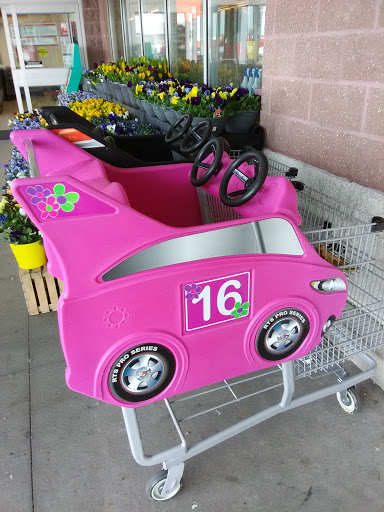 Shopping Mall «Shillington Shopping Center», reviews and photos, 502 E Lancaster Ave, Reading, PA 19607, USA