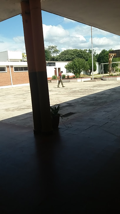 Colegio Secundario N°5