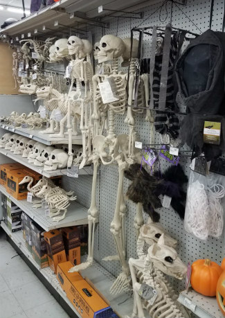 Hardware Store «Antioch Ace Hardware», reviews and photos, 501 Sunset Dr, Antioch, CA 94509, USA