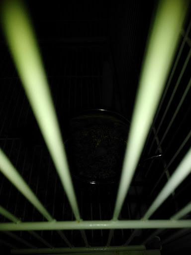 Pet Supply Store «Pet Supplies Plus», reviews and photos, 700 Boston Rd Suite 12b, Billerica, MA 01821, USA