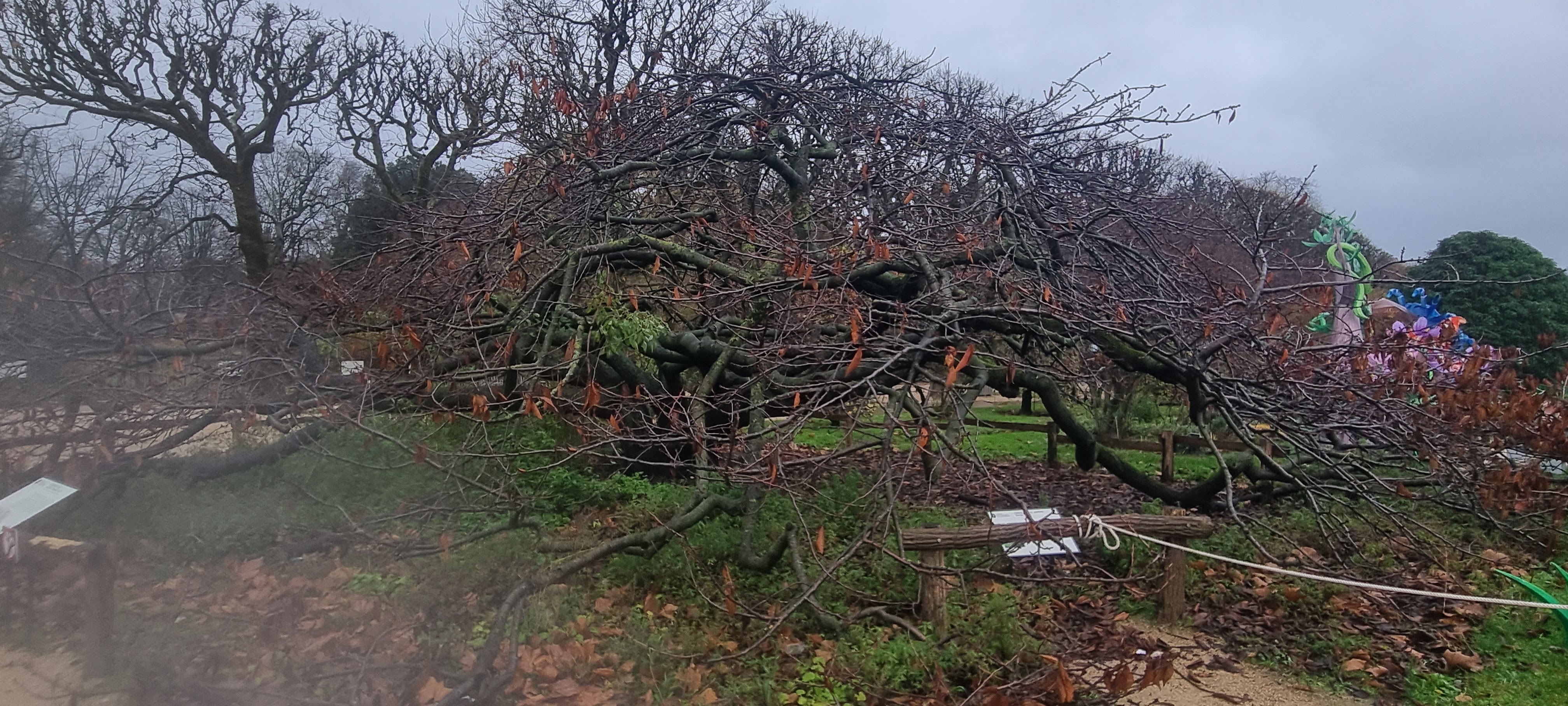 Photo n° 3 de l'avis de ma.i fait le 11/12/2023 à 14:17