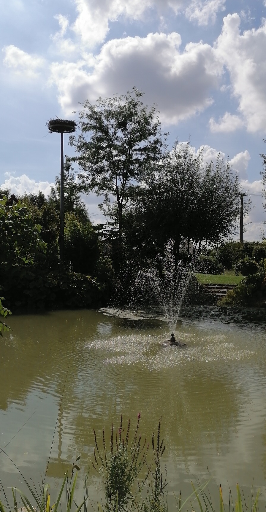 Photo n° 2 de l'avis de p.. fait le 11/09/2022 à 17:16