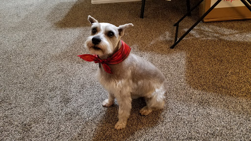 Pet Supply Store «PetSmart», reviews and photos, 16925 N Marketplace Blvd, Nampa, ID 83687, USA