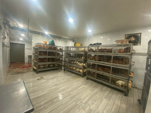 Grocery Store «Sandys Poultry Market», reviews and photos, 305 Madison Ave, Plainfield, NJ 07060, USA