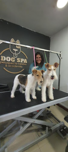 Comentarios y opiniones de DOG SPA peluquería canina