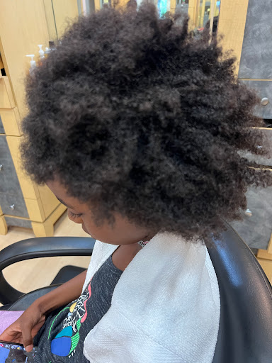 Beauty Salon «Style Dominican Hair Salon», reviews and photos, 4447 Crain Hwy, White Plains, MD 20695, USA