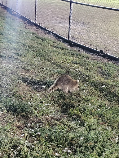 Park «Seminole Palms Park», reviews and photos, 151 Lamstein Ln, Royal Palm Beach, FL 33411, USA