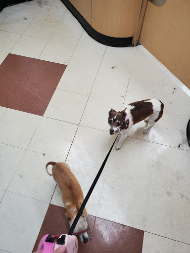 Pet Supply Store «PetSmart», reviews and photos, 215 N Burkhardt Rd, Evansville, IN 47715, USA