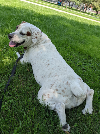 Park «Winnemac Park», reviews and photos, 5100 N Leavitt St, Chicago, IL 60625, USA