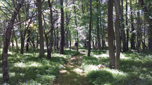 Nature Preserve «Bergen Swamp Preservation Society», reviews and photos, 6646 Hessenthaler Rd, Byron, NY 14422, USA