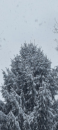 Computer Repair Service «Reliable Computer Repair», reviews and photos, 13 Brook St, Seymour, CT 06483, USA