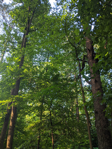 Park «Best Friend Park», reviews and photos, 6224 Jimmy Carter Blvd, Norcross, GA 30071, USA