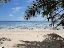 Photo de Au Sel Beach avec un rivage spacieux