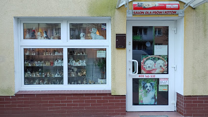 Salon dla psów i kotów