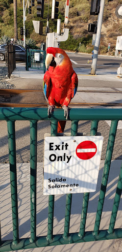 Pet Supply Store «PetSmart», reviews and photos, 33963 Doheny Park Rd, San Juan Capistrano, CA 92675, USA