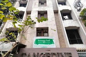 Tangerine Guest House image