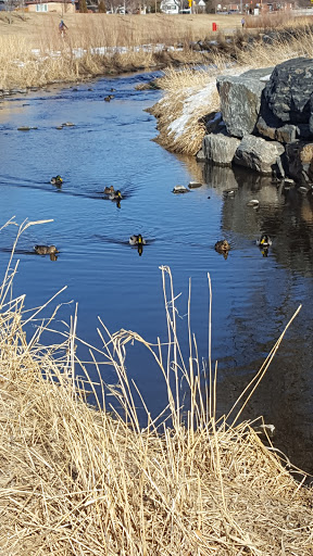 Park «The Ralston-Central Park», reviews and photos, 5850 Garrison St, Arvada, CO 80002, USA