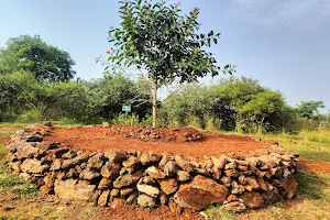 Trekking Circle Banyan Tree image