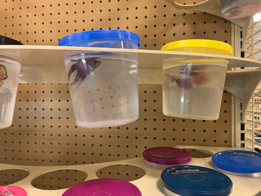 Pet Supply Store «Petco Animal Supplies», reviews and photos, 4913 Main St, Spring Hill, TN 37174, USA