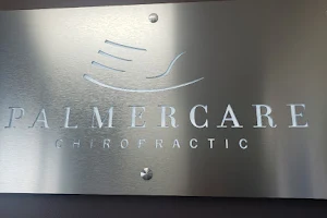 Palmercare Chiropractic Leesburg image
