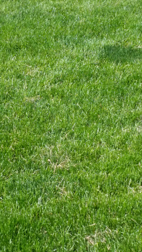 Park «Cranmer Park», reviews and photos, 4501 E 1st Ave, Denver, CO 80220, USA