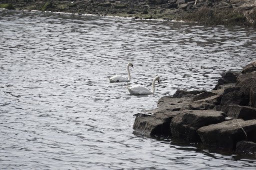 Park «Marine Park», reviews and photos, Fillmore Ave, Brooklyn, NY Brooklyn, USA