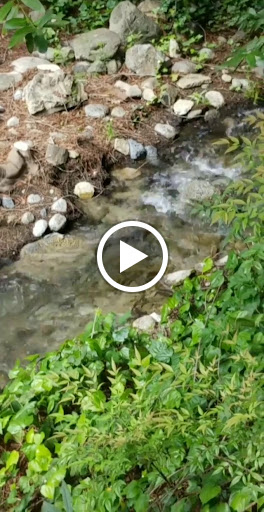 Coffee Shop «Coffee Cat», reviews and photos, 255 Mt Hermon Rd A, Scotts Valley, CA 95066, USA