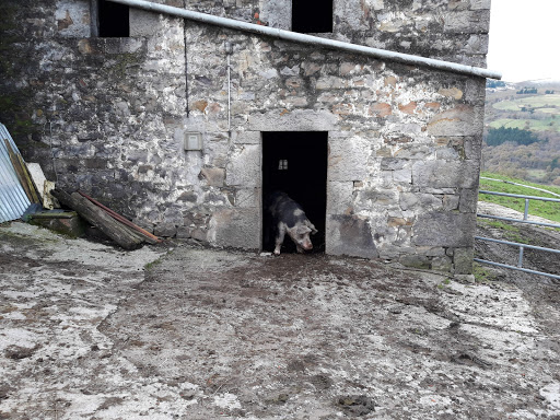 CEIP El Castañal en Selaya