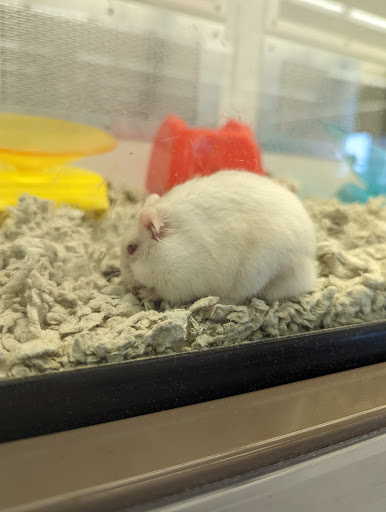 Pet Supply Store «Petco Animal Supplies», reviews and photos, 3480 Wilkes Barre Blvd, Wilkes-Barre, PA 18702, USA