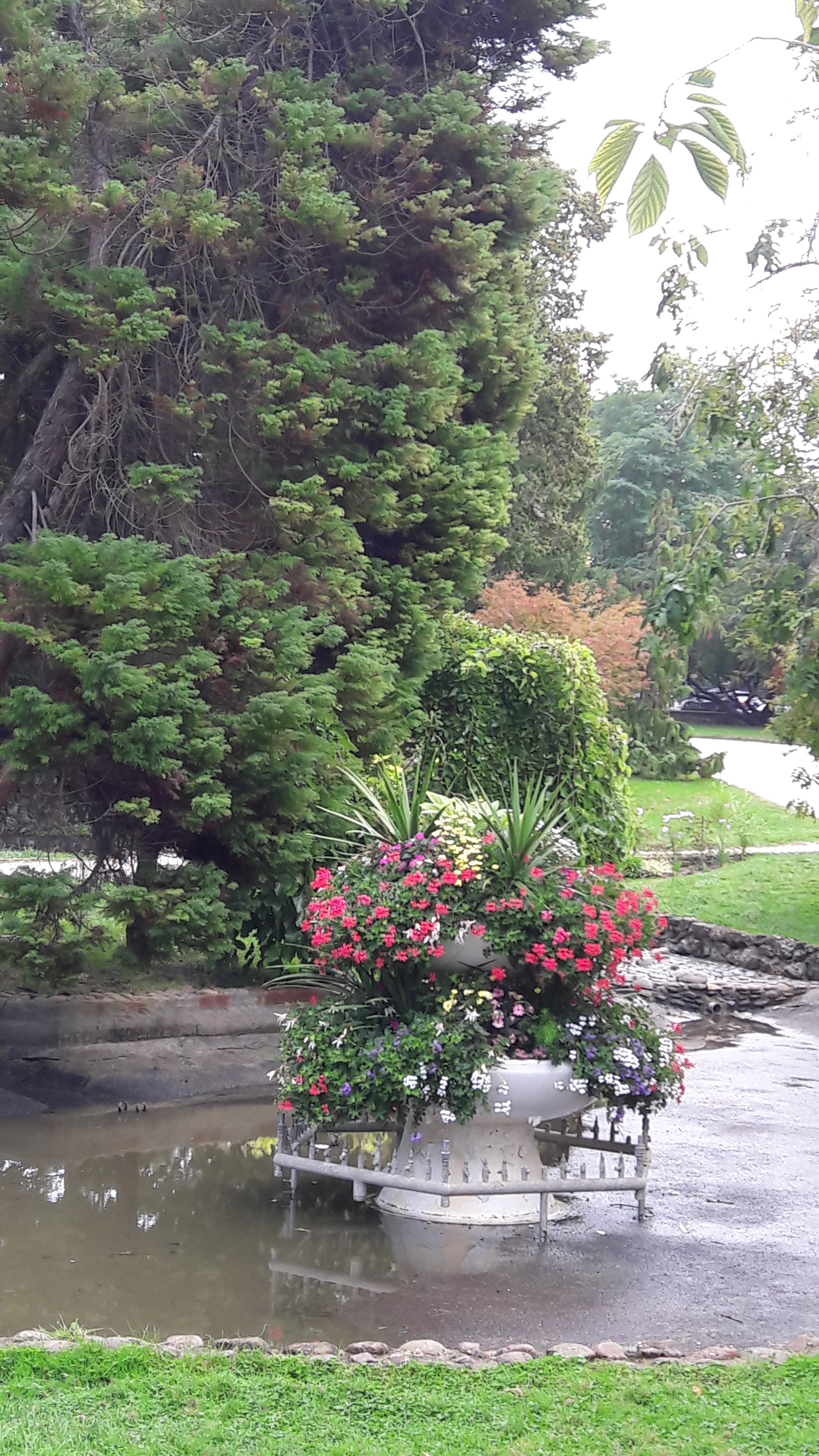 Photo n° 3 de l'avis de Chrigu.r fait le 28/08/2019 à 19:26