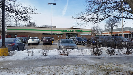 Dollar Store «Dollar Tree», reviews and photos, 4101 Dempster St, Skokie, IL 60076, USA