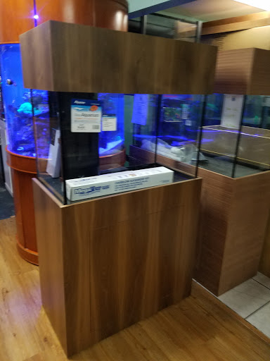 Pet Store «Tanks A Lot Aquariums», reviews and photos, 6680 Lantana Rd, Lake Worth, FL 33467, USA