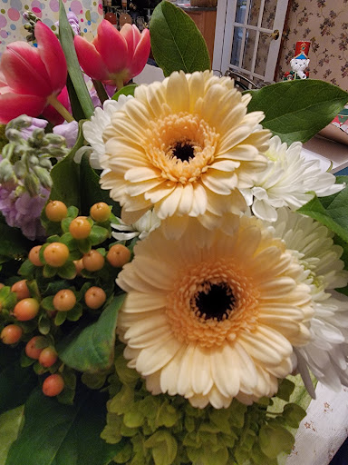 Florist «Evans Flowers & Greenhouse», reviews and photos, 49 Warren St, Peabody, MA 01960, USA