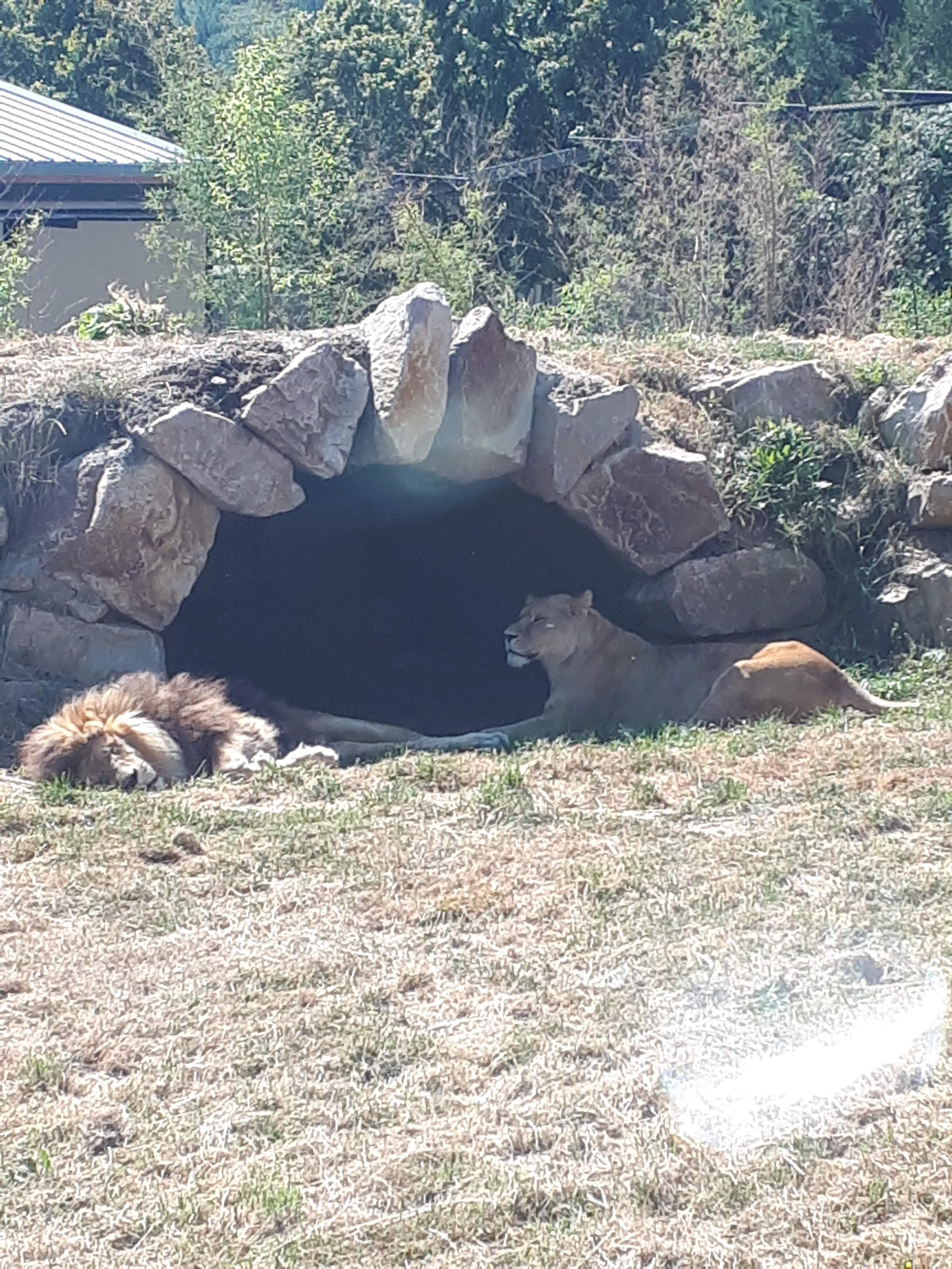 Photo n° 6 de l'avis de Mi.e fait le 05/08/2018 à 16:30