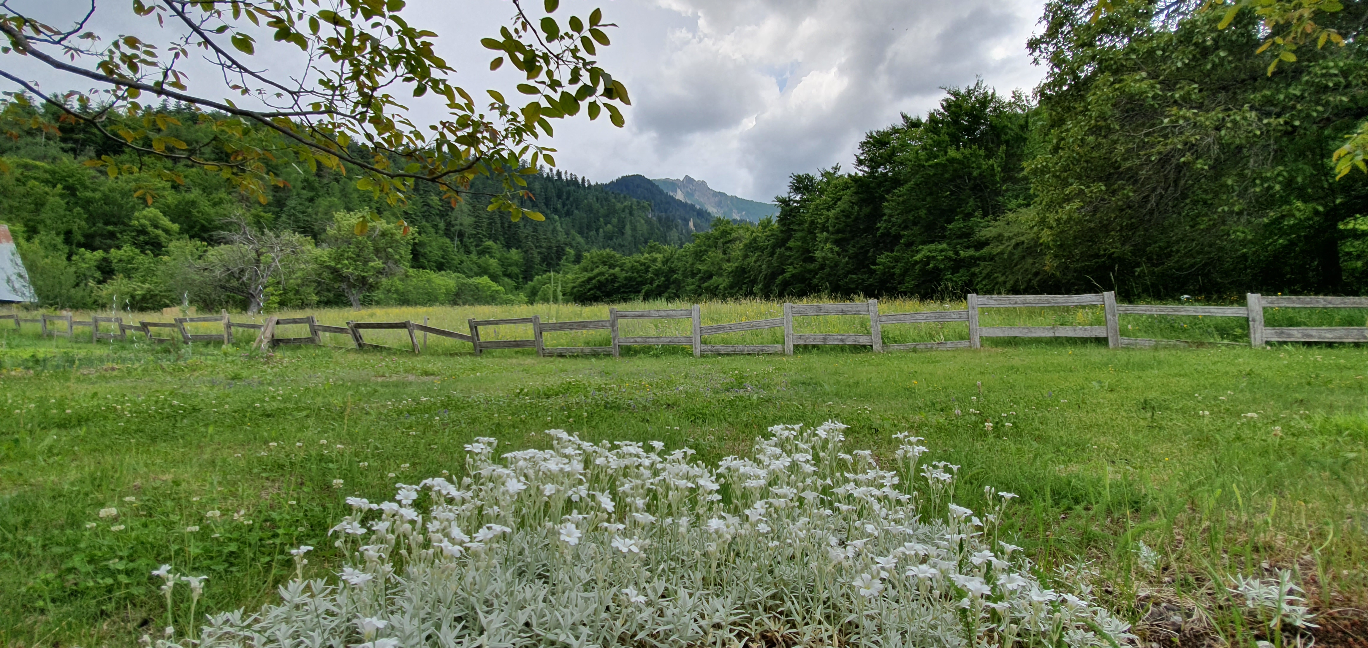 Photo n° 2 de l'avis de franck.o fait le 17/06/2019 à 12:51