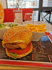 Hamburger du Restaurant Wittmann Brand LE RESTO à Mulhouse - n°8