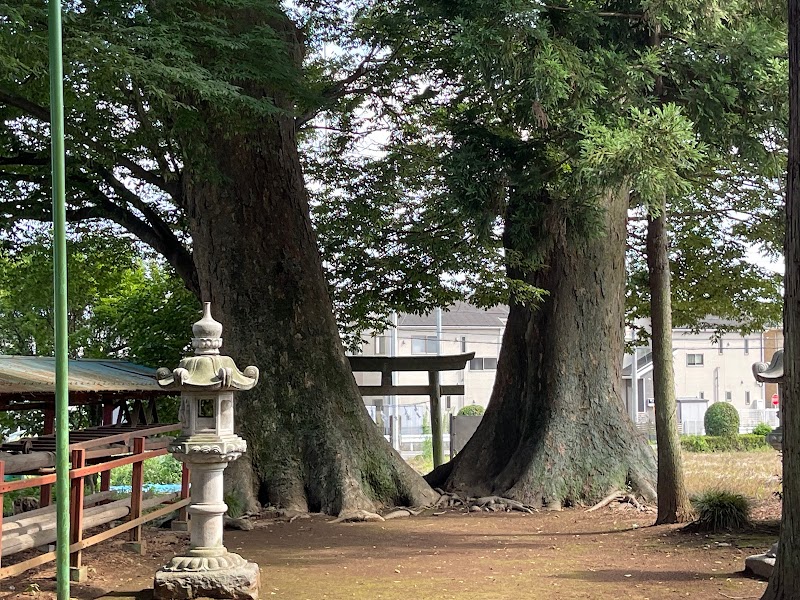 下小坂の大ケヤキ