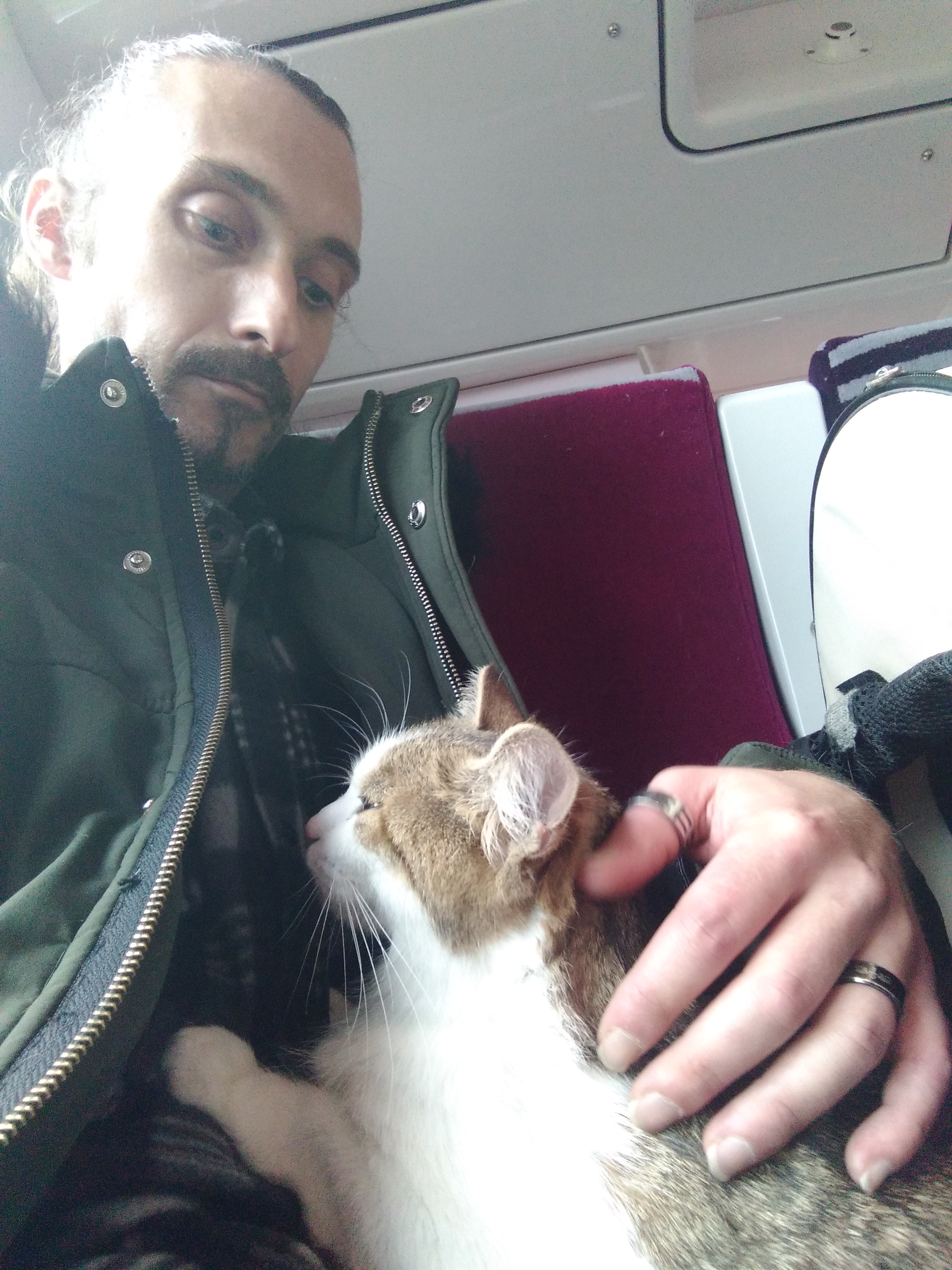 Photo n° 1 de l'avis de Nicolas.a fait le 03/10/2022 à 11:11