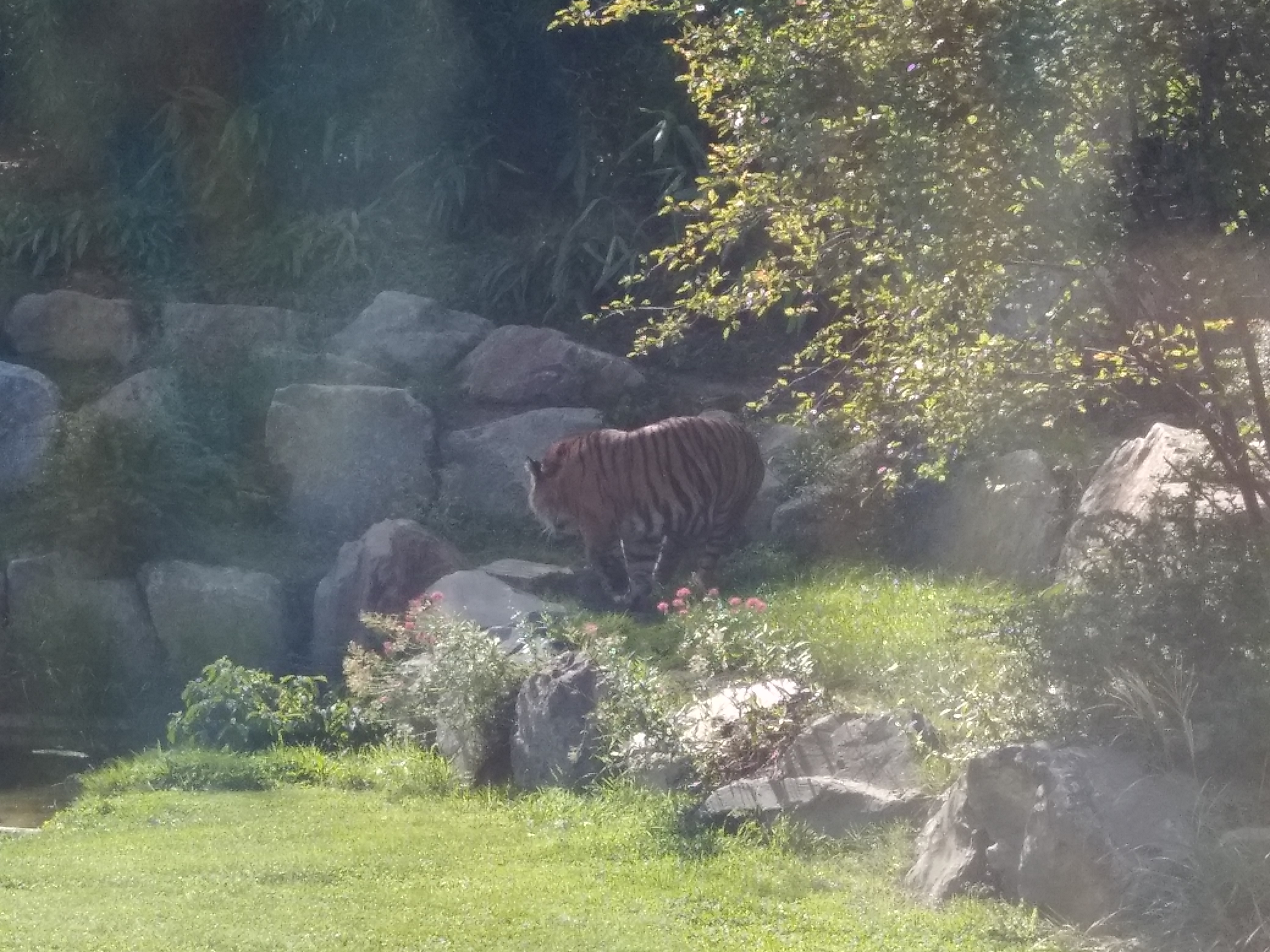 Photo n° 18 de l'avis de carine.a fait le 25/08/2019 à 20:31